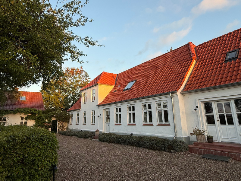 Berliner Landjungs Journalbeitrag Anna von Mangoldt Farben Alt Schule Dänemark